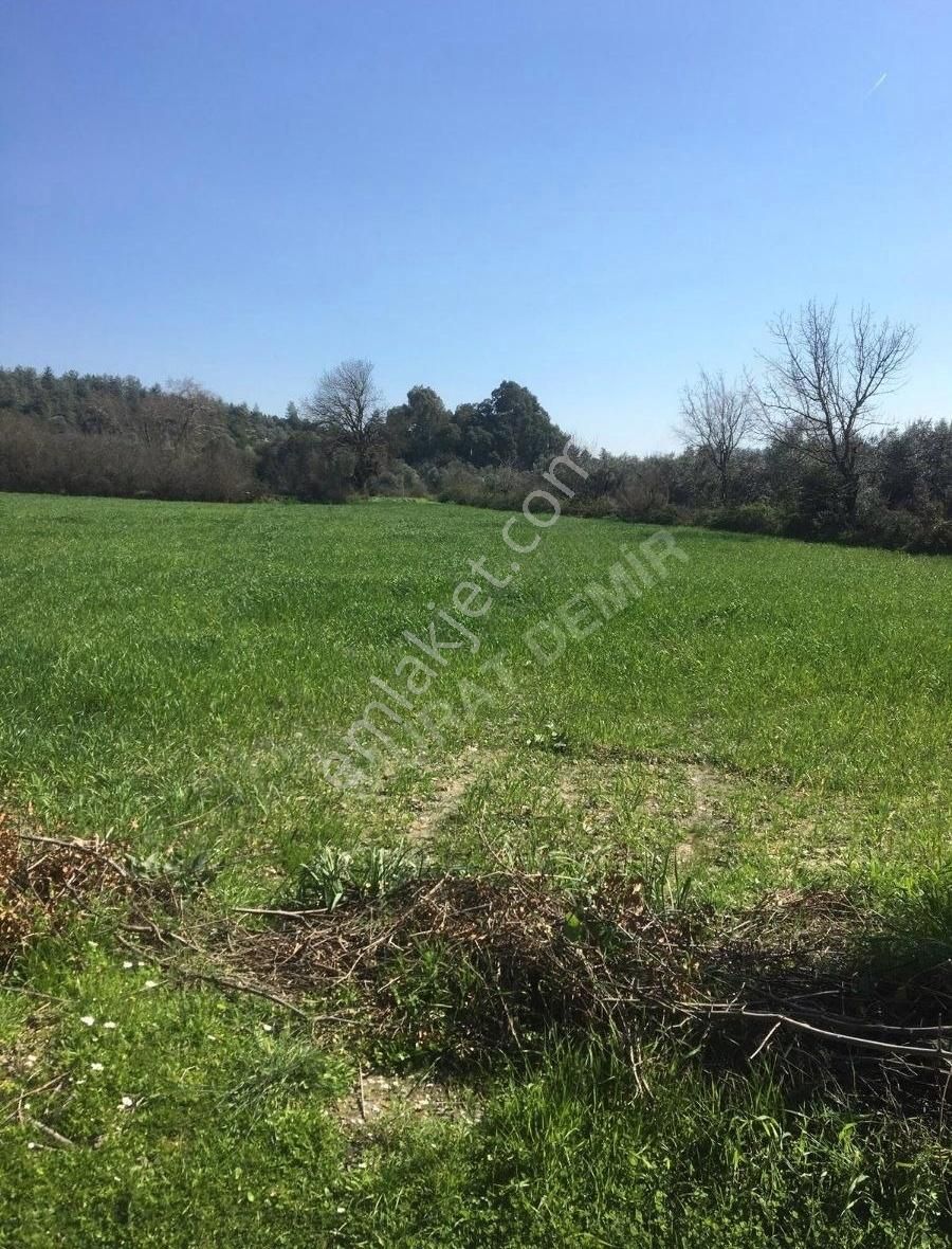 Gökova Portakallık Da Satılık Köy İçi İmarlı Arsa