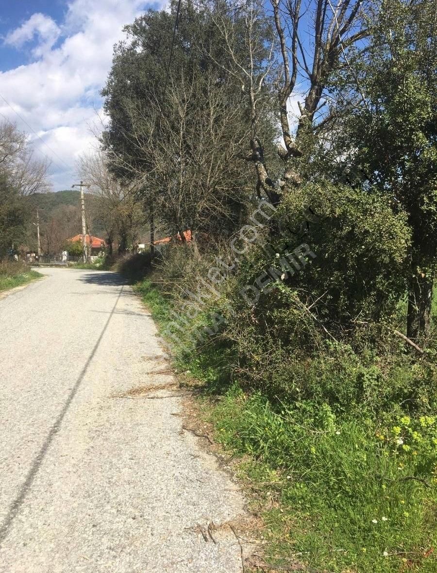 Gökova Portakallık Da Satılık Köy İçi İmarlı Arsa - Görsel 2