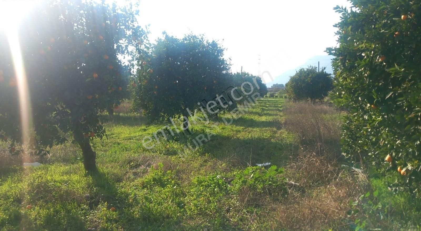 Gökovada Satılık Tarla - Görsel 8