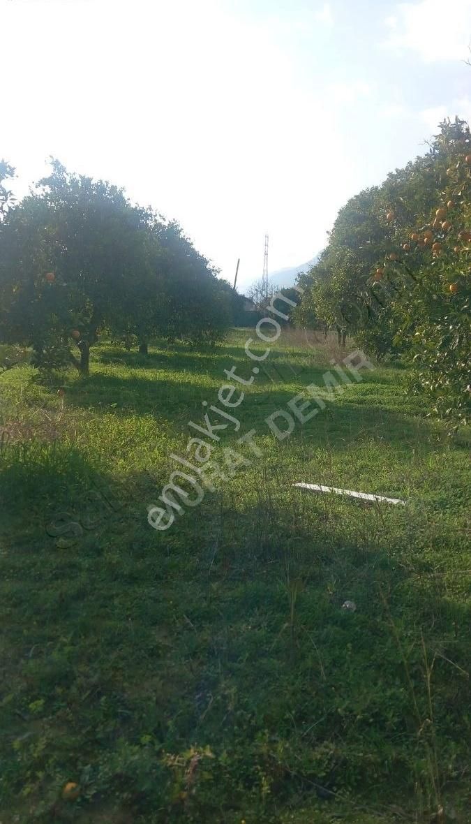 Gökovada Satılık Tarla - Görsel 9