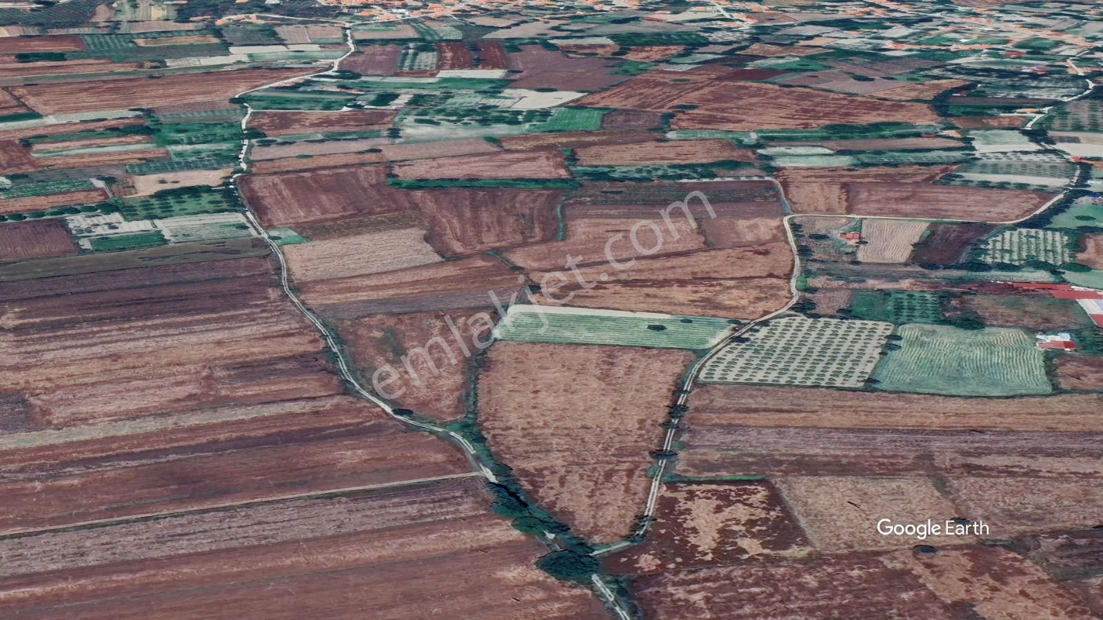 Muğla Yeşilyurt'ta Yolu Olan Dümdüz Tarla - Görsel 25
