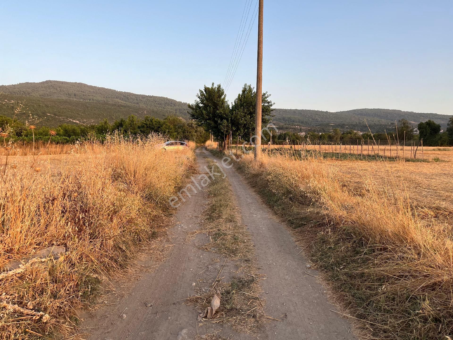 Muğla Yeşilyurt'ta Yolu Olan Dümdüz Tarla - Görsel 11