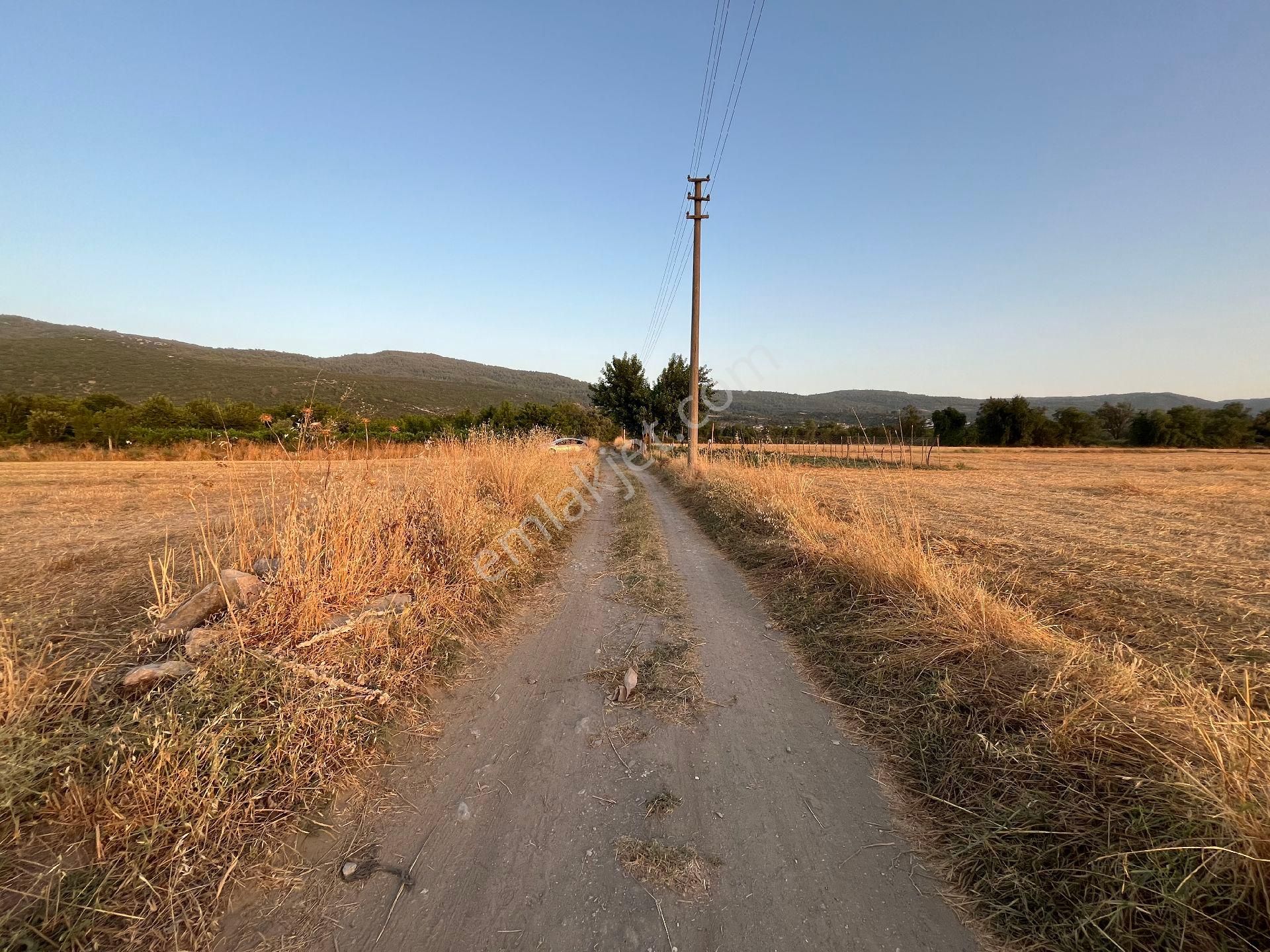 Muğla Yeşilyurt'ta Yolu Olan Dümdüz Tarla - Görsel 9