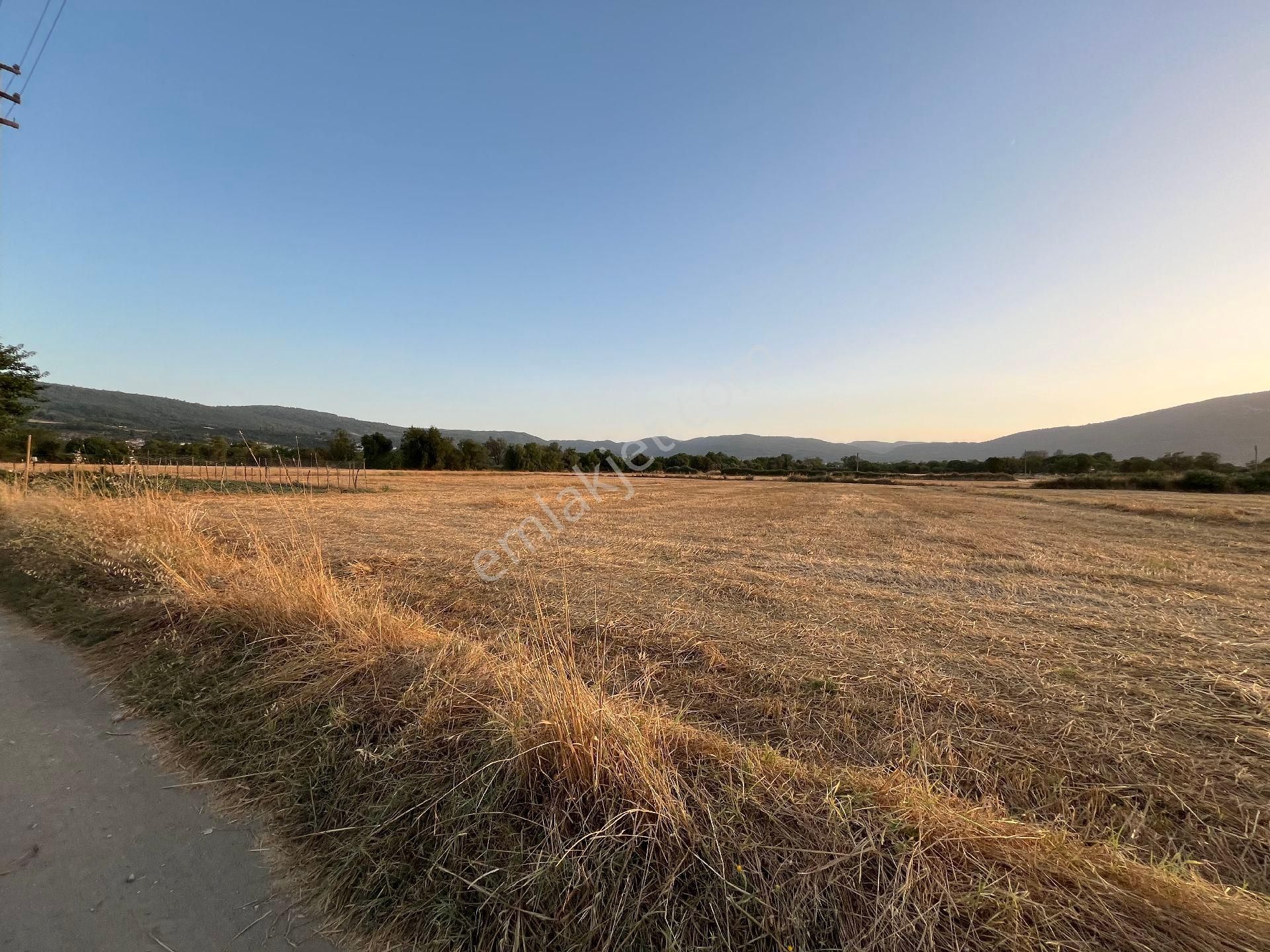 Muğla Yeşilyurt'ta Yolu Olan Dümdüz Tarla - Görsel 14