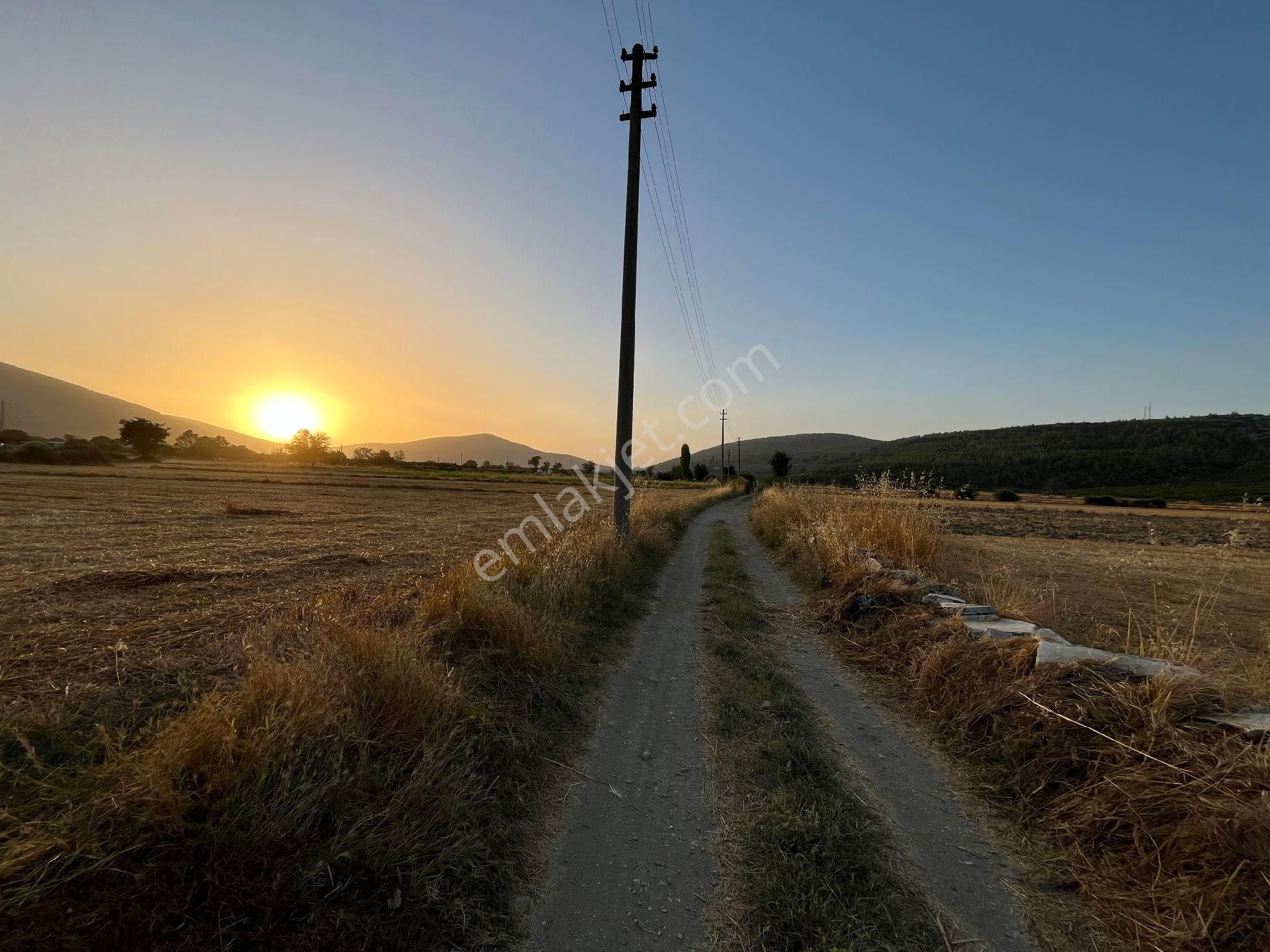 Muğla Yeşilyurt'ta Yolu Olan Dümdüz Tarla - Görsel 18