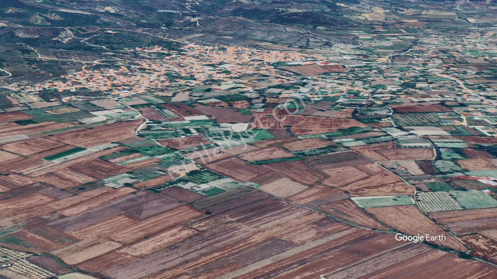 Muğla Yeşilyurt'ta Yolu Olan Dümdüz Tarla - Görsel 27