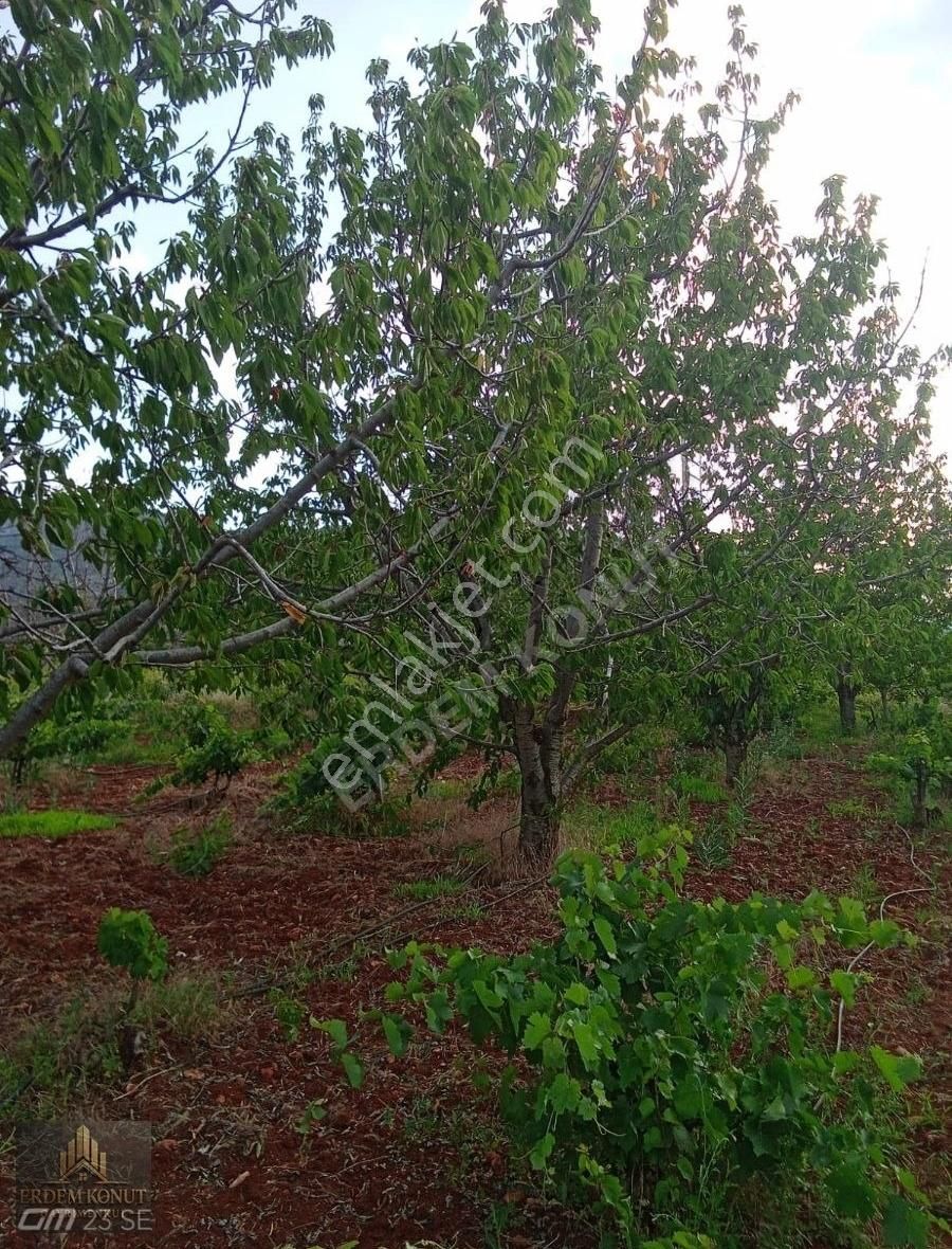 Fiyat Düştü Erdem Konut'tan Hadim Bademli De Satılık İmarlı Arsa - Görsel 8
