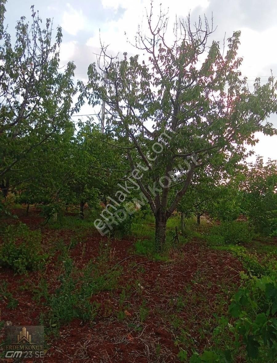 Fiyat Düştü Erdem Konut'tan Hadim Bademli De Satılık İmarlı Arsa - Görsel 11