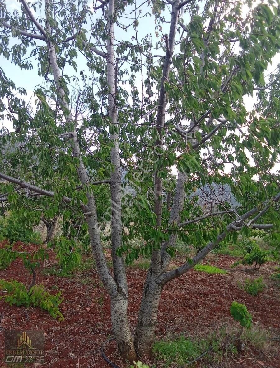 Fiyat Düştü Erdem Konut'tan Hadim Bademli De Satılık İmarlı Arsa - Görsel 7