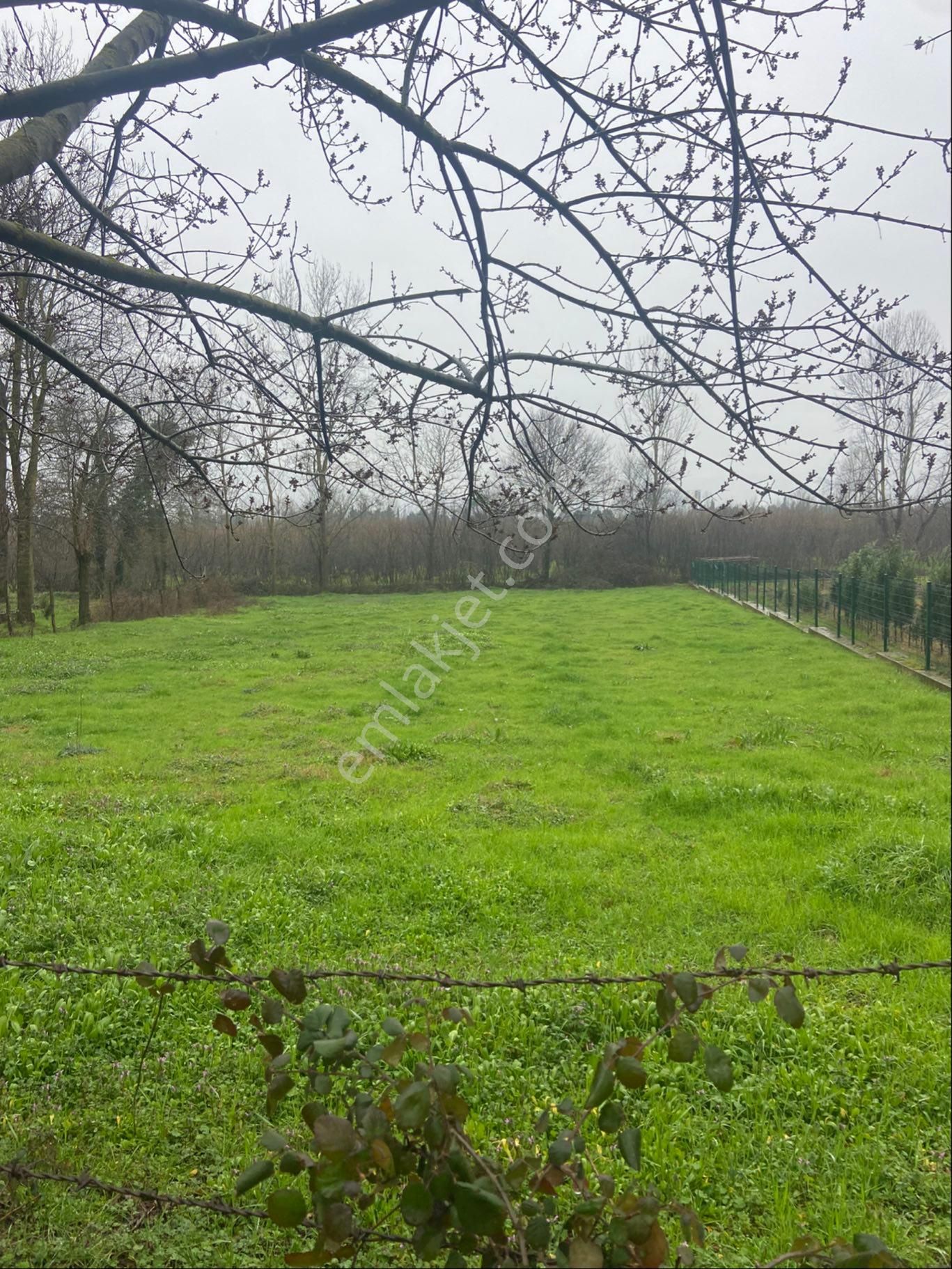 Sahibinden