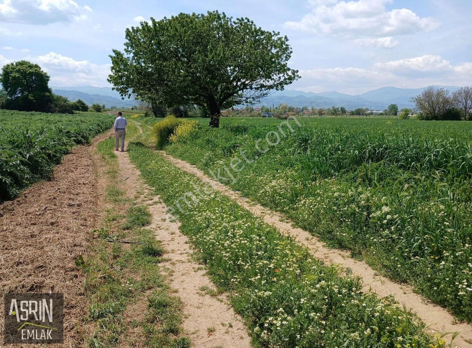 Süpürtü Köyünde 1100 M² Resmi Yolu Olan, Asfalta Yakın Tarla