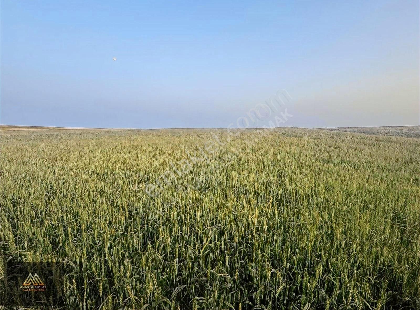 Avantaj Emlaktan Kusunlarda Satılık İmarlı Arsa - Görsel 2