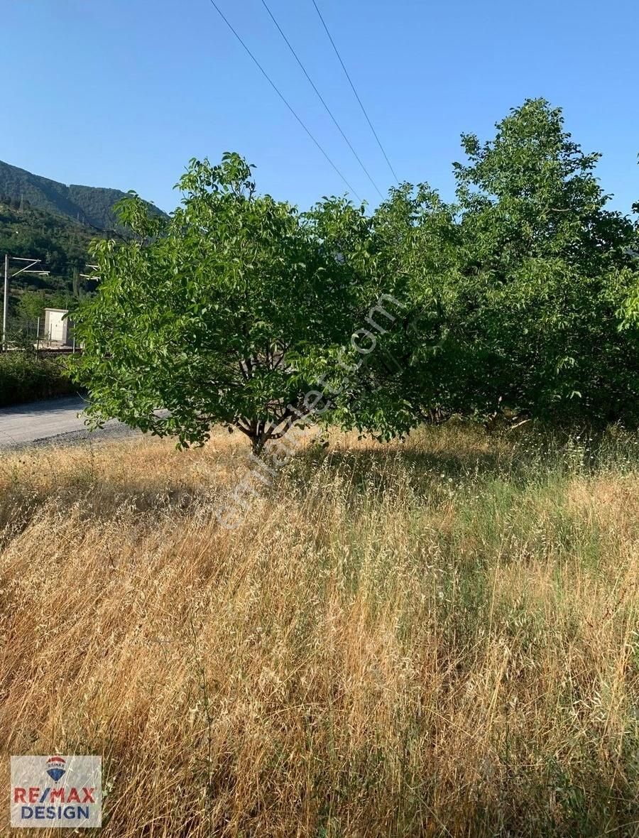 Remax Desıgn Geyve De Meyve Bahçesı - Görsel 5