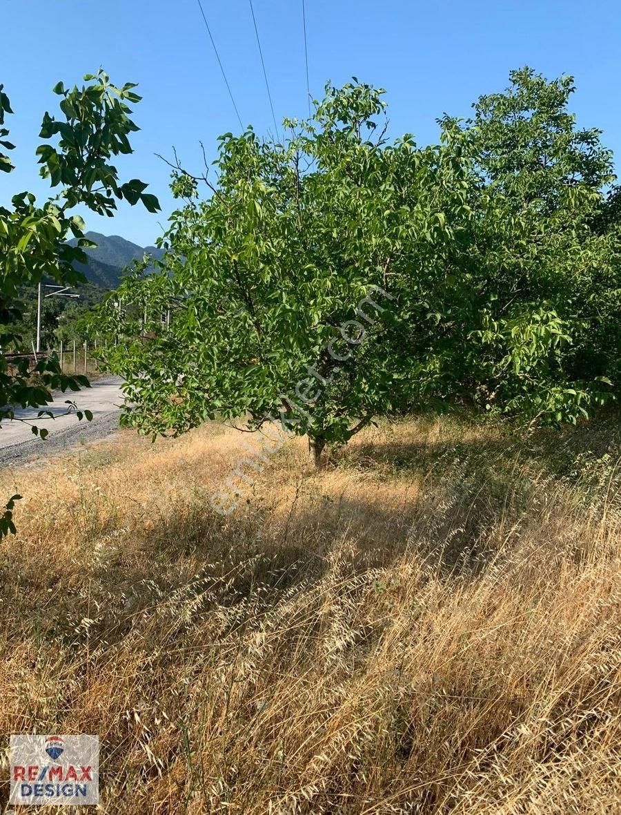 Remax Desıgn Geyve De Meyve Bahçesı - Görsel 18
