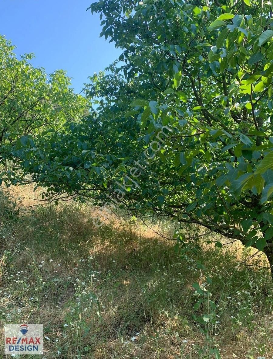 Remax Desıgn Geyve De Meyve Bahçesı - Görsel 8