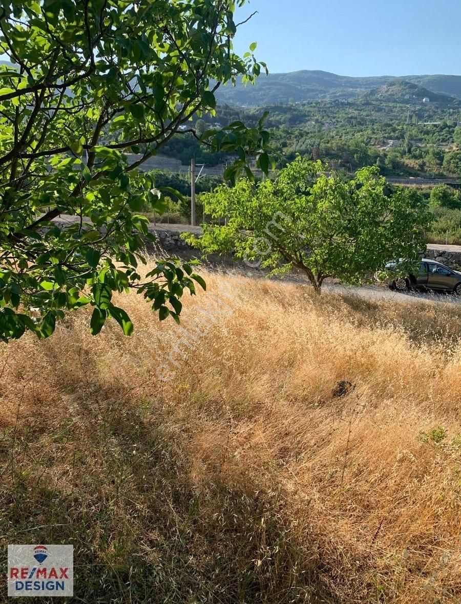 Remax Desıgn Geyve De Meyve Bahçesı - Görsel 6