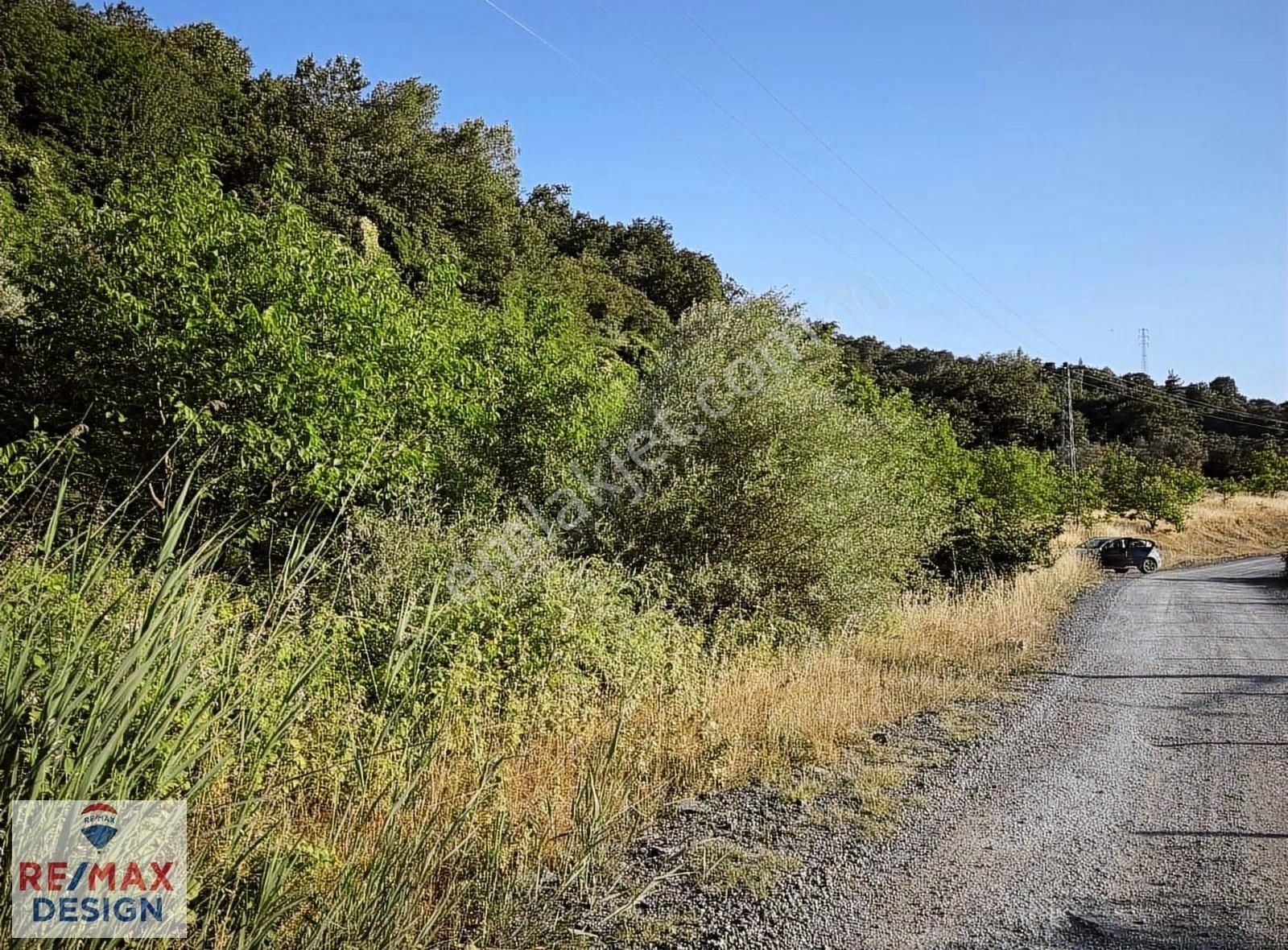 Remax Desıgn Geyve De Meyve Bahçesı