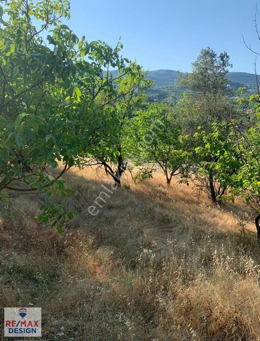 Remax Desıgn Geyve De Meyve Bahçesı - Görsel 10