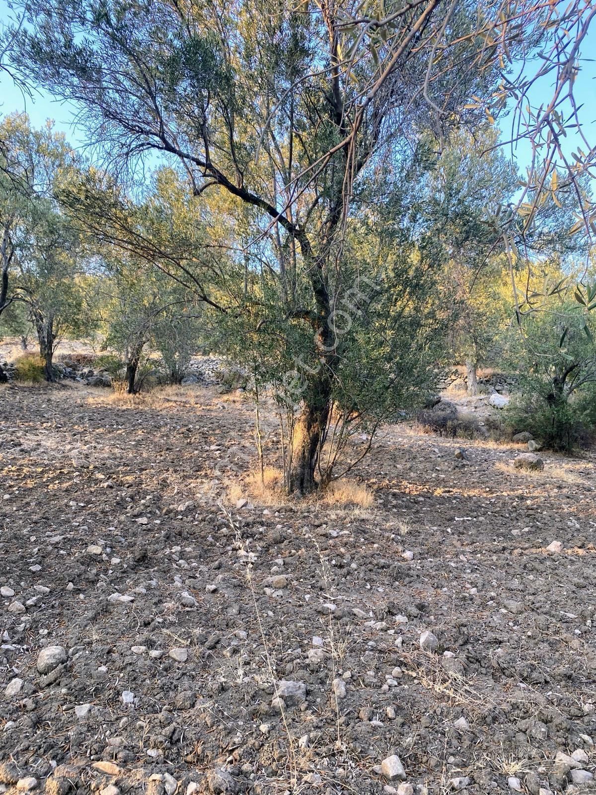 Başka Yerde Yok.olsada Bu Fiyata Yok. - Görsel 11