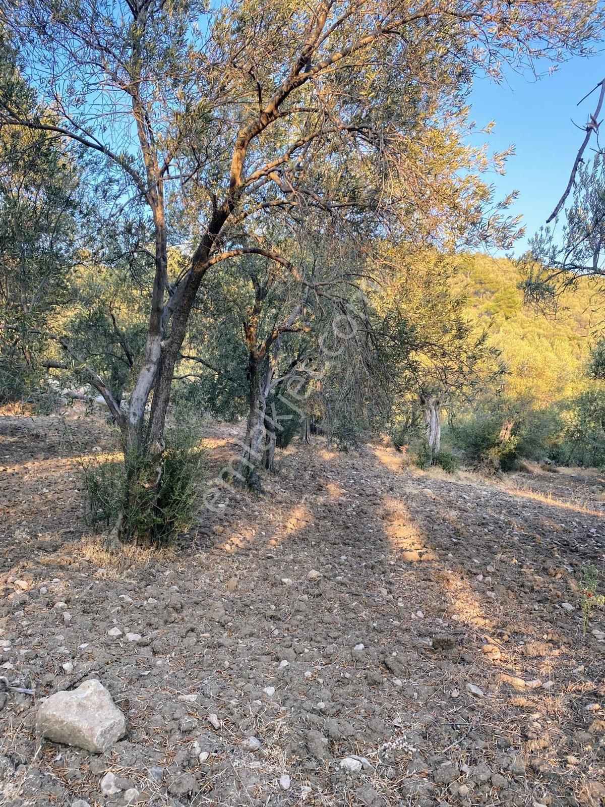 Başka Yerde Yok.olsada Bu Fiyata Yok. - Görsel 10