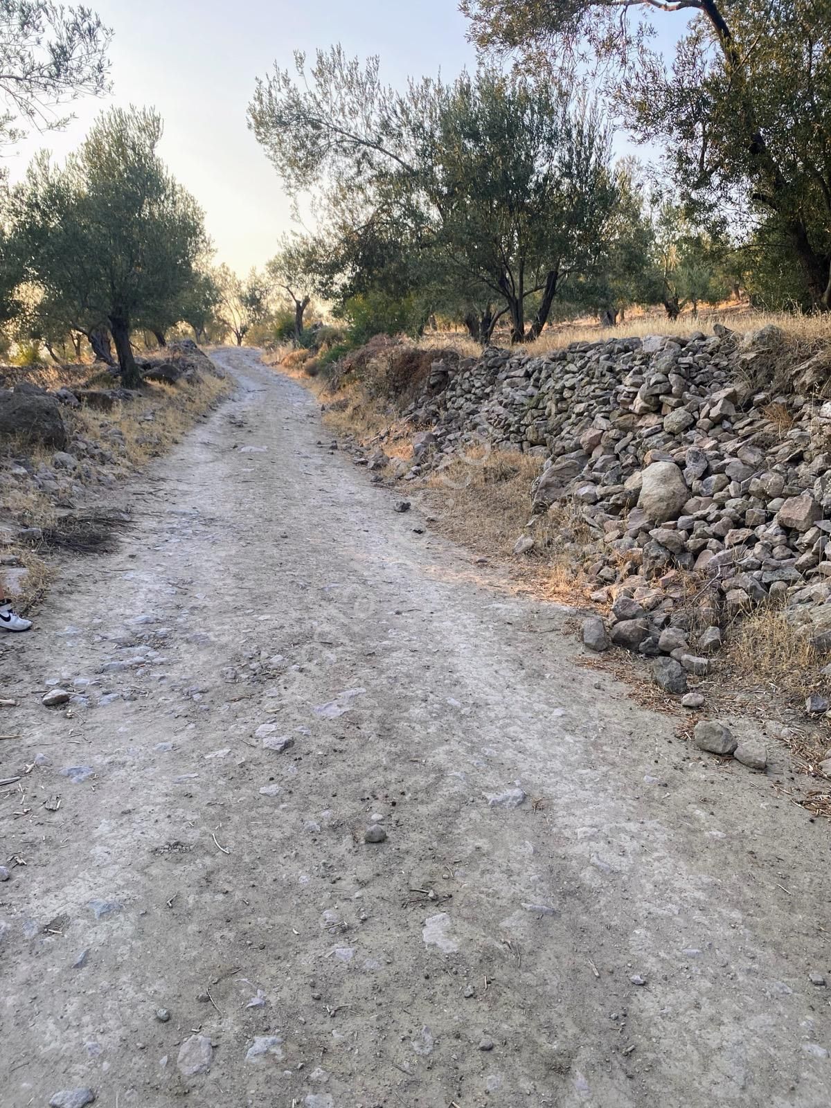 Başka Yerde Yok.olsada Bu Fiyata Yok. - Görsel 3