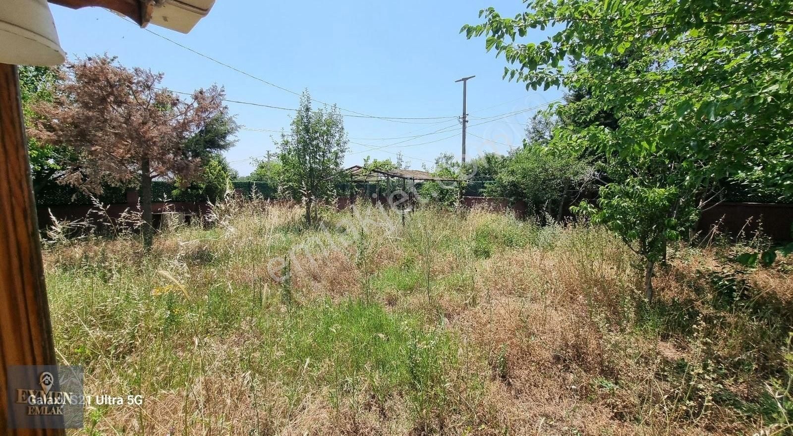 Köşe Başında Bahçe Duvarlı Meyve Ağaçları Ve Kamelyalı Arsa - Görsel 6