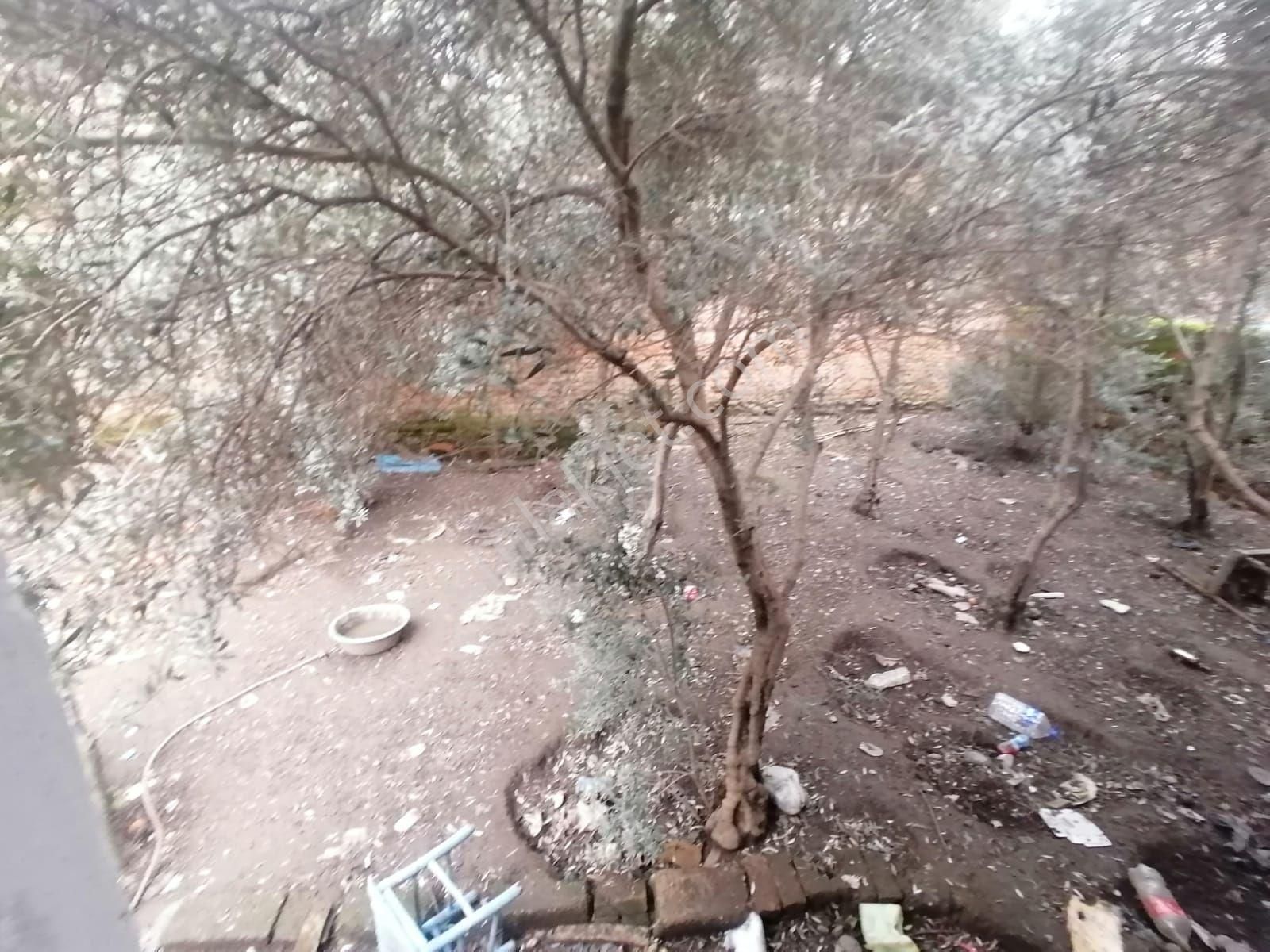 Nazilli Sahibinden Satılık 2 Müstakil Ev - Görsel 9