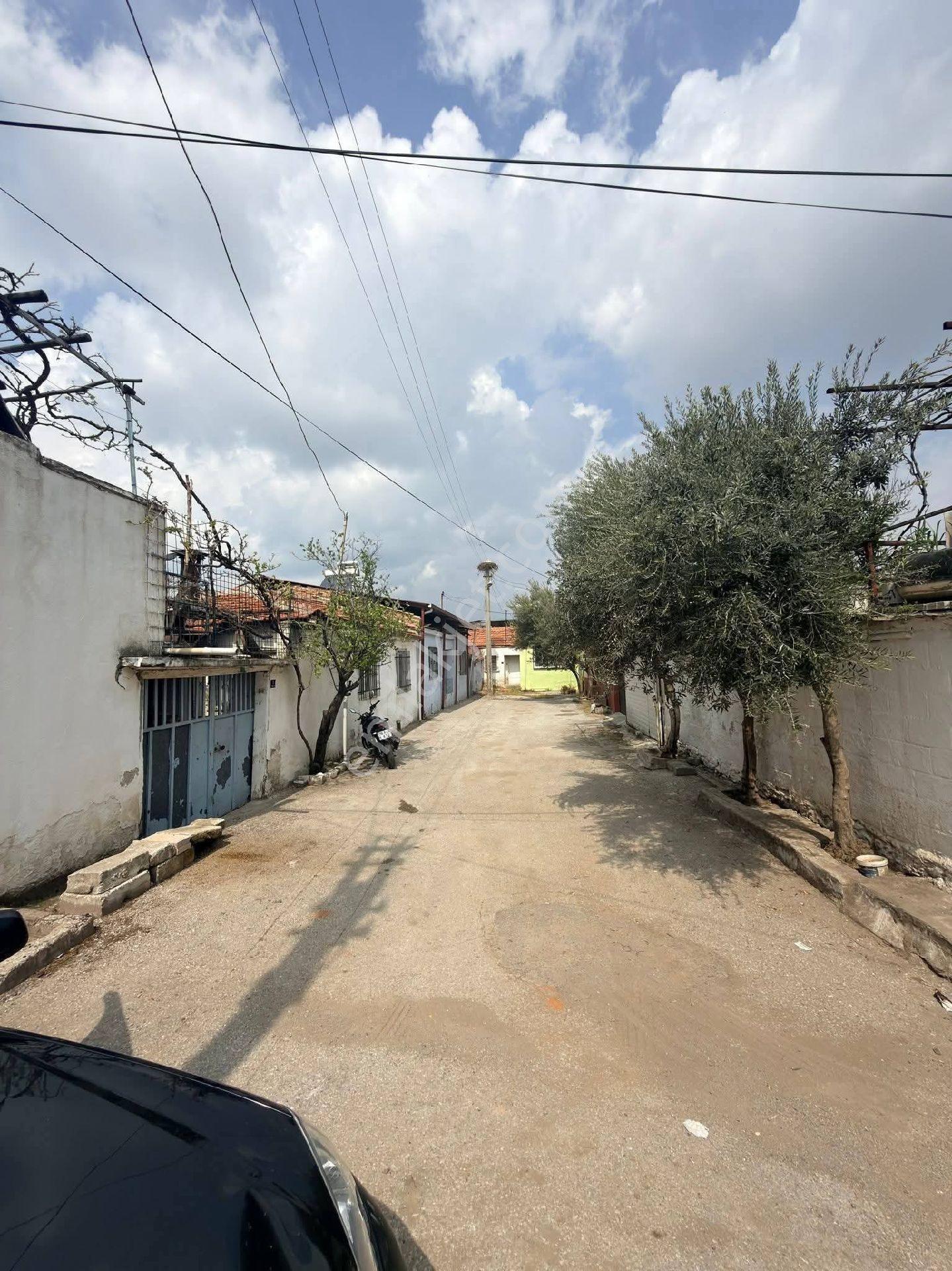 Nazilli Sahibinden Satılık 2 Müstakil Ev - Görsel 34