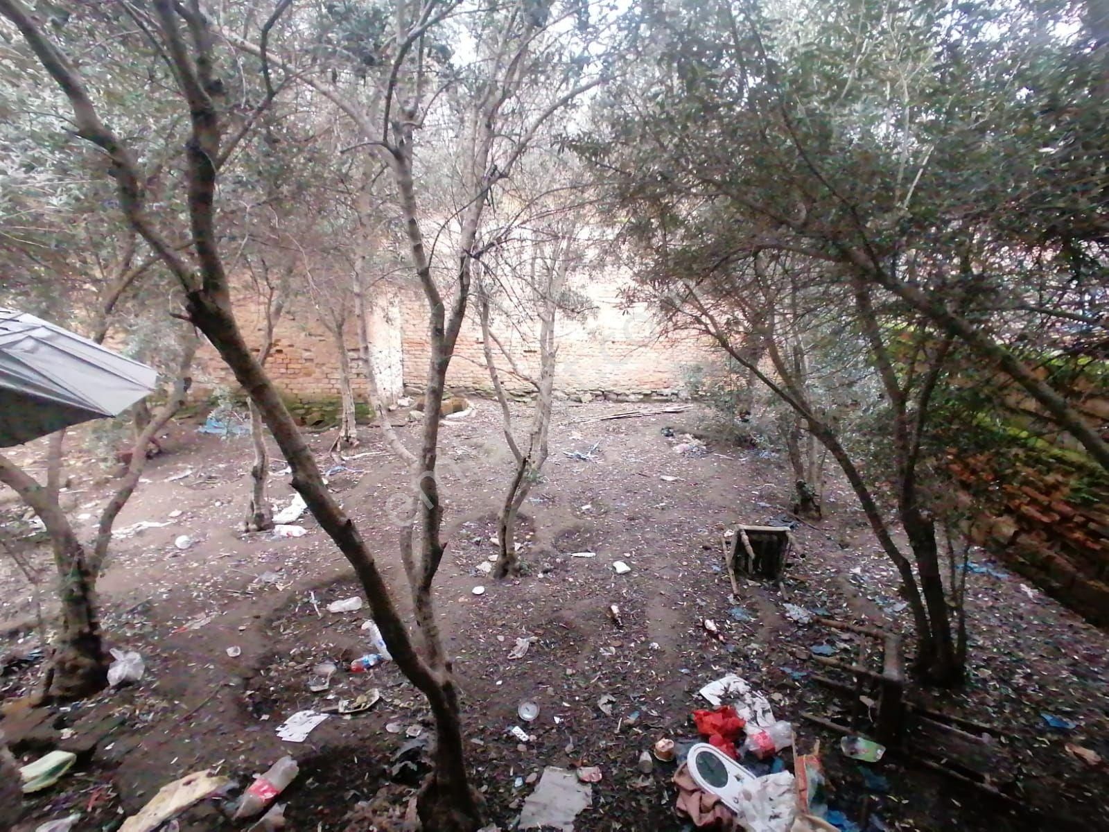 Nazilli Sahibinden Satılık 2 Müstakil Ev - Görsel 10