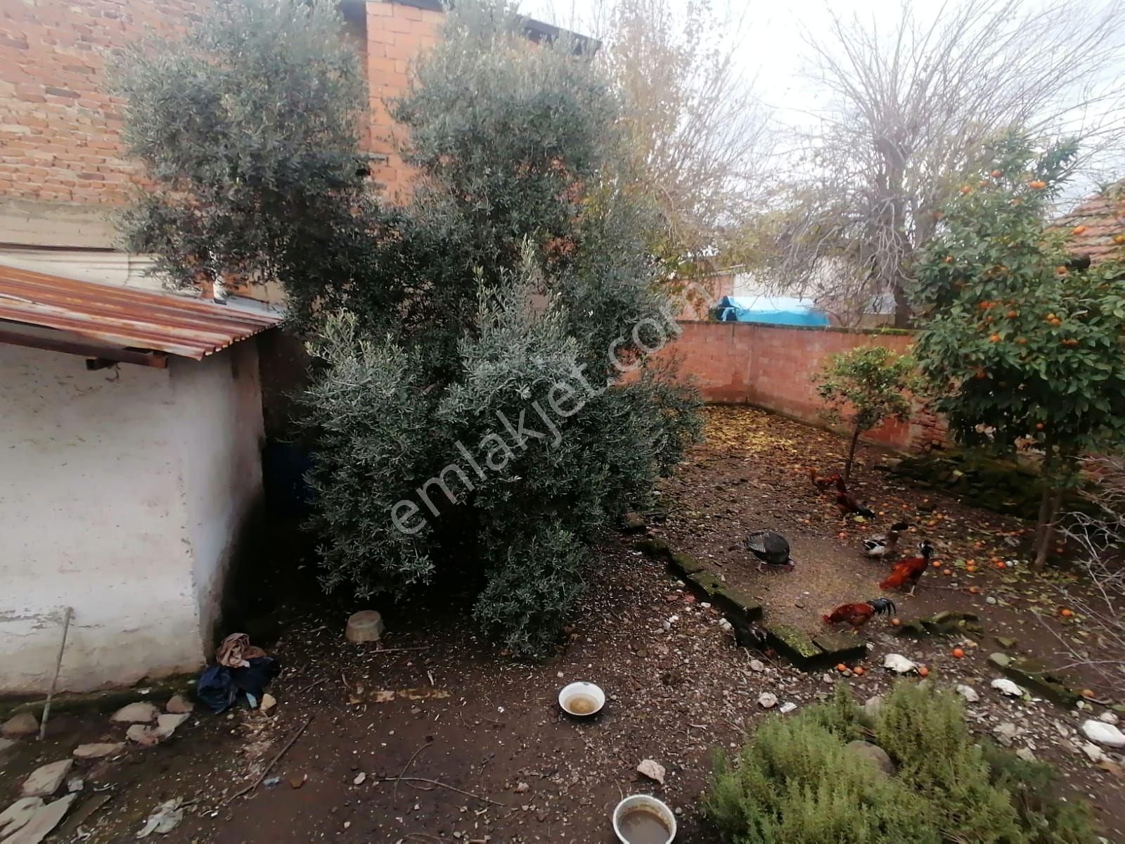 Nazilli Sahibinden Satılık 2 Müstakil Ev - Görsel 12