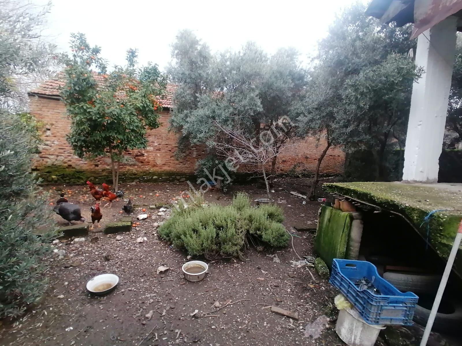 Nazilli Sahibinden Satılık 2 Müstakil Ev - Görsel 16