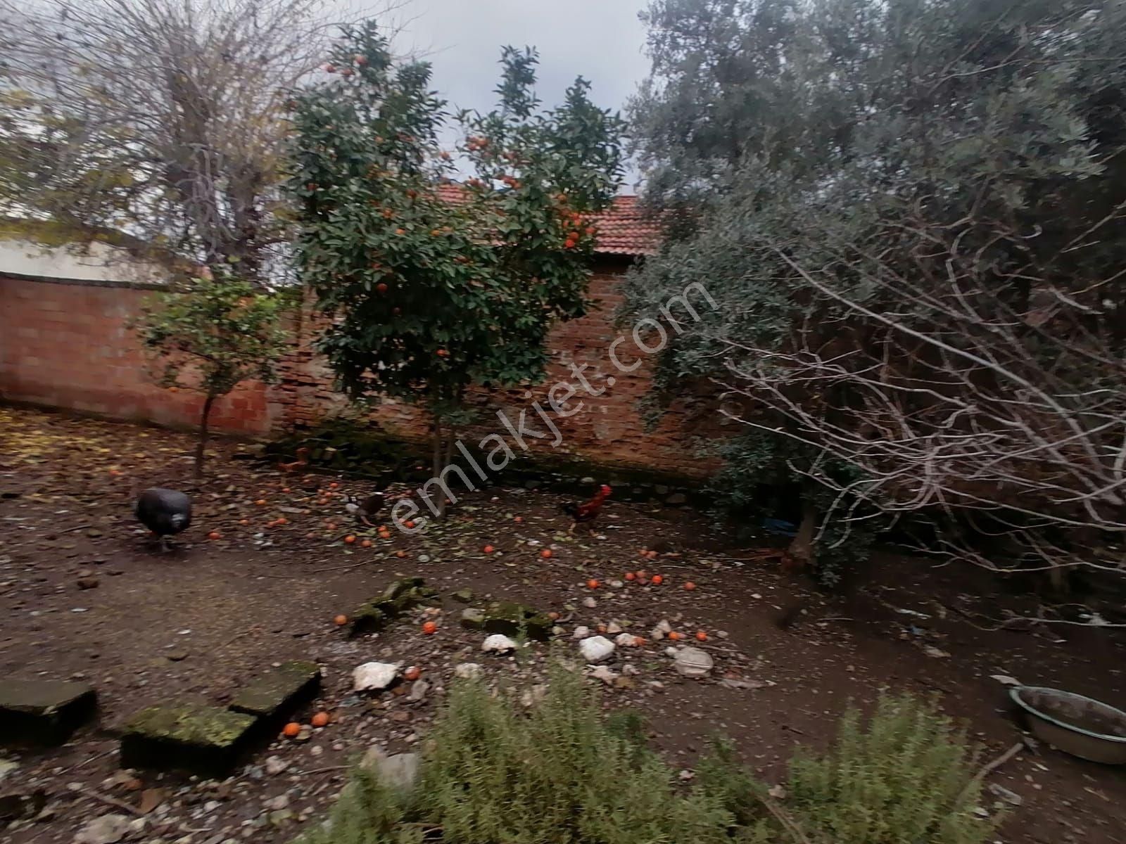 Nazilli Sahibinden Satılık 2 Müstakil Ev - Görsel 23