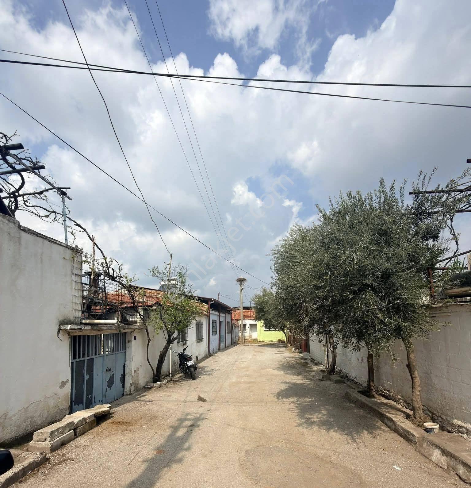 Nazilli Sahibinden Satılık 2 Müstakil Ev - Görsel 28
