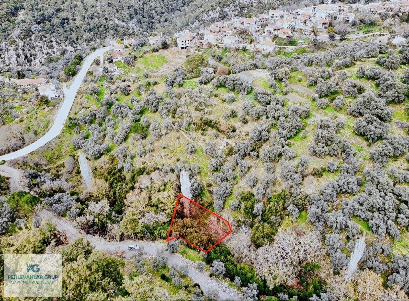 Acil Satılık Milas'a 10 Dakika Mesafede Fırsat Bahçe