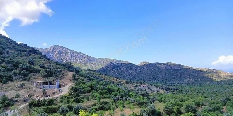 Startkey Pelit Hızırşah'ta 88 M Yol Cepheli Tarla - Görsel 5
