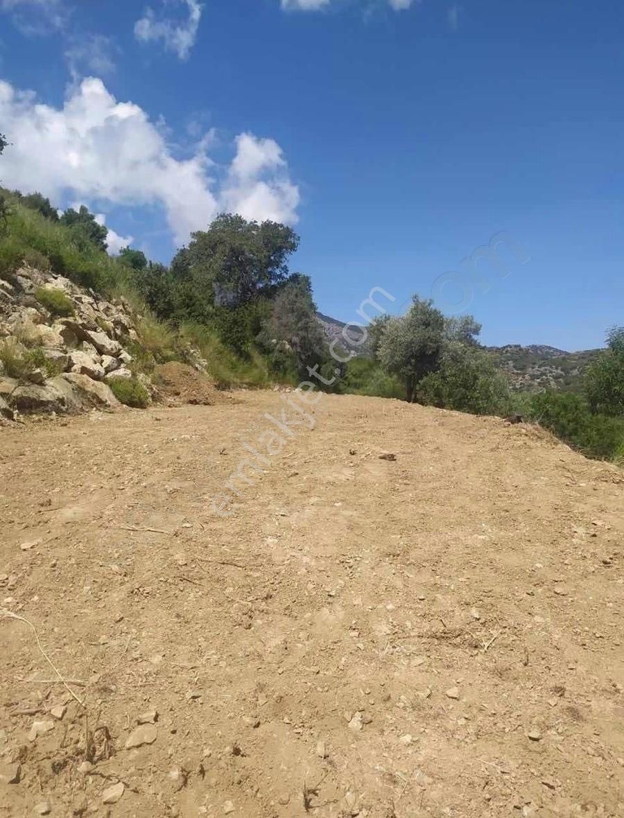 Startkey Pelit Hızırşah'ta 88 M Yol Cepheli Tarla - Görsel 20