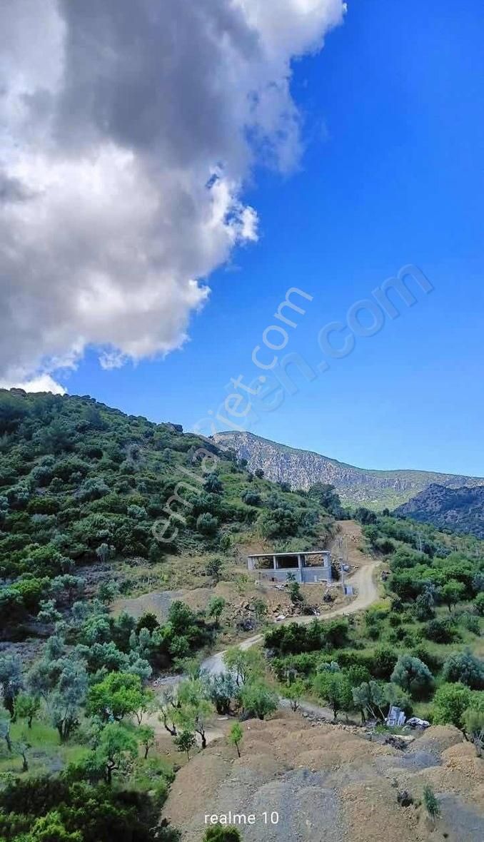 Startkey Pelit Hızırşah'ta 88 M Yol Cepheli Tarla - Görsel 7