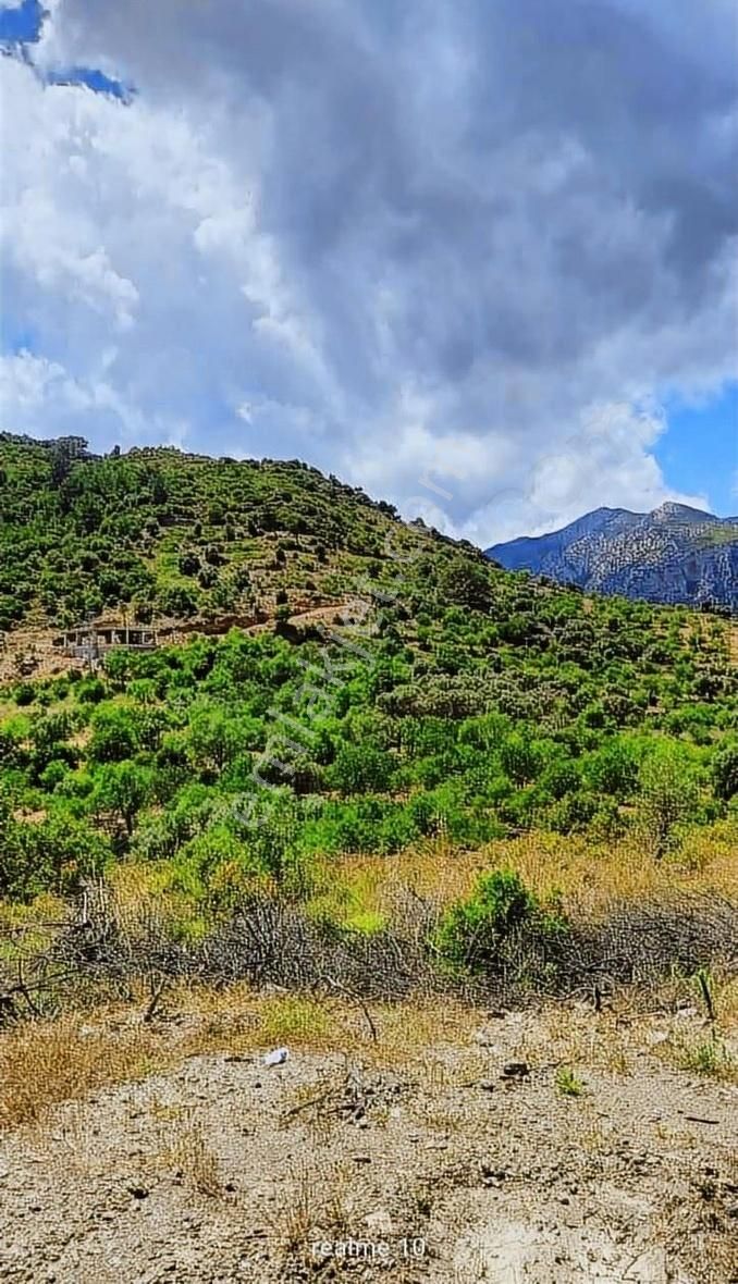 Startkey Pelit Hızırşah'ta 88 M Yol Cepheli Tarla - Görsel 3