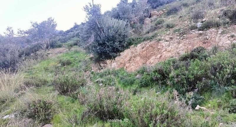 Startkey Pelit Hızırşah'ta 88 M Yol Cepheli Tarla - Görsel 17