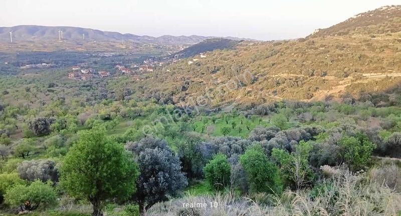 Startkey Pelit Hızırşah'ta 88 M Yol Cepheli Tarla - Görsel 16