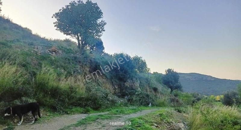 Startkey Pelit Hızırşah'ta 88 M Yol Cepheli Tarla - Görsel 9