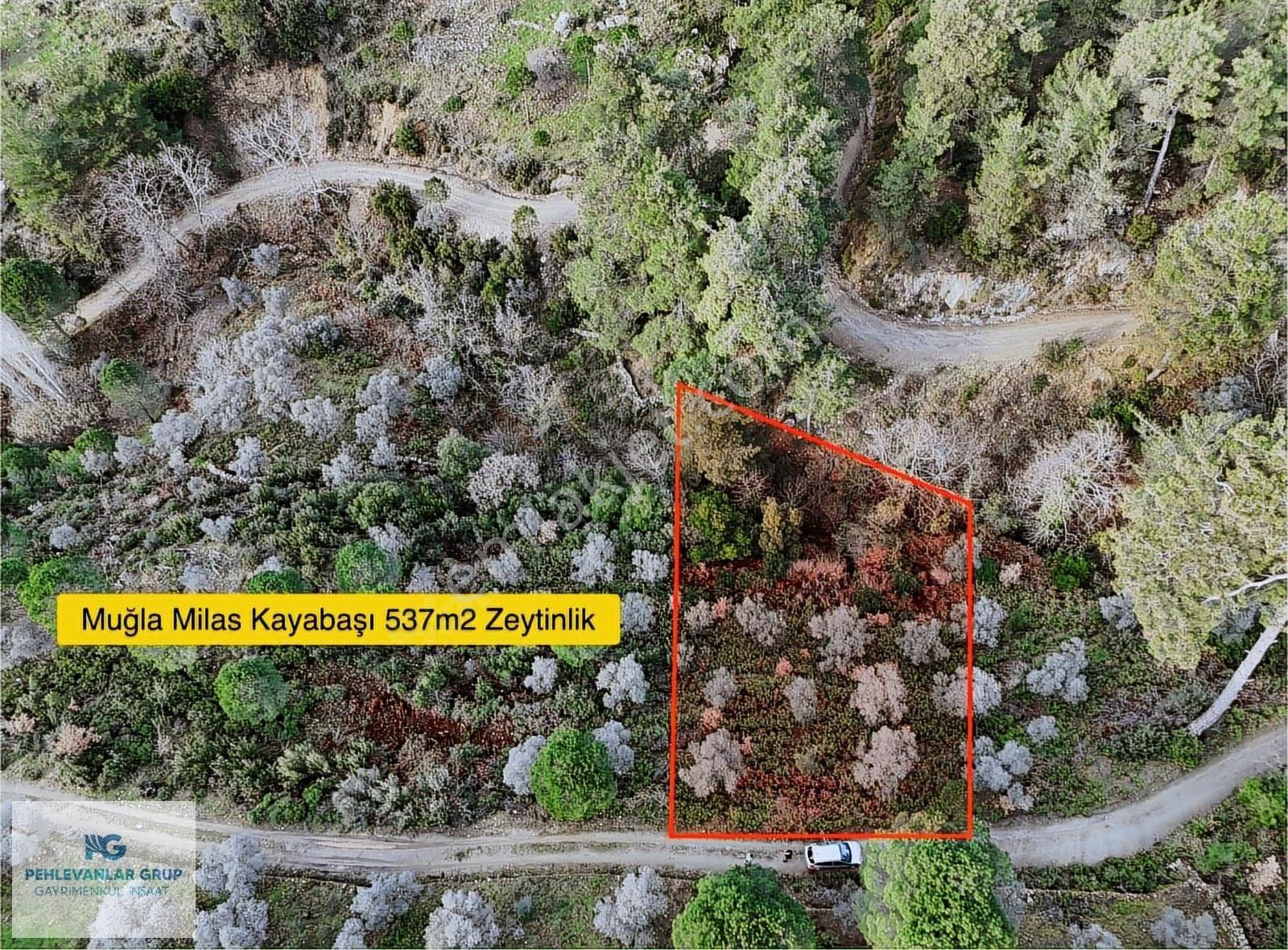 Milas Kayabaşı Mah Kaynak Suyu Olan Bungalov& Tinyhouse Arazisi