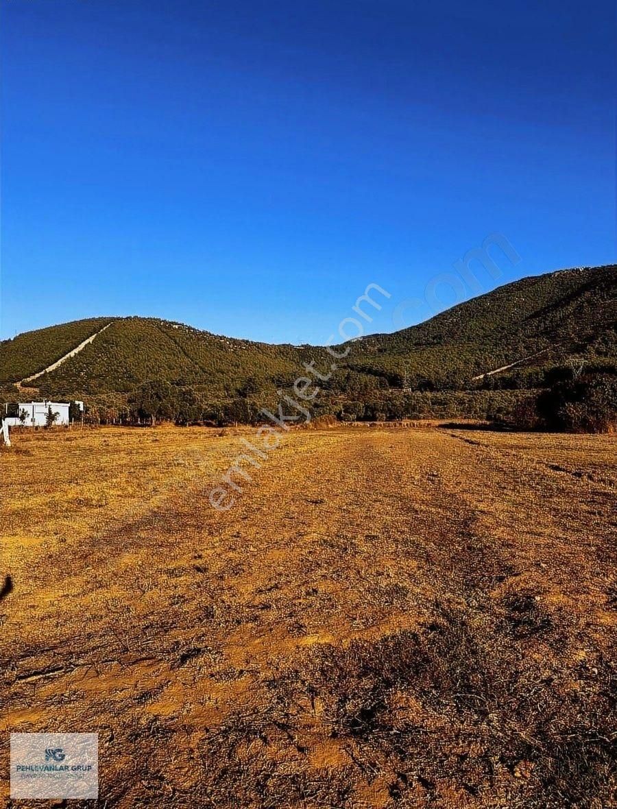 Kısa Süreliğine Tuzabat Köyünde Doğa İle İçiçe 1309m2 Tarla - Görsel 3