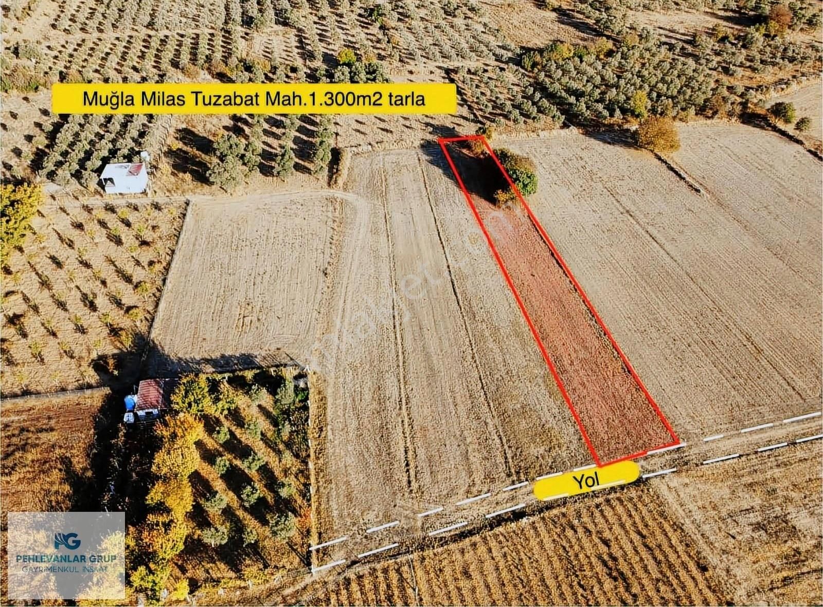 Kısa Süreliğine Tuzabat Köyünde Doğa İle İçiçe 1309m2 Tarla - Görsel 4