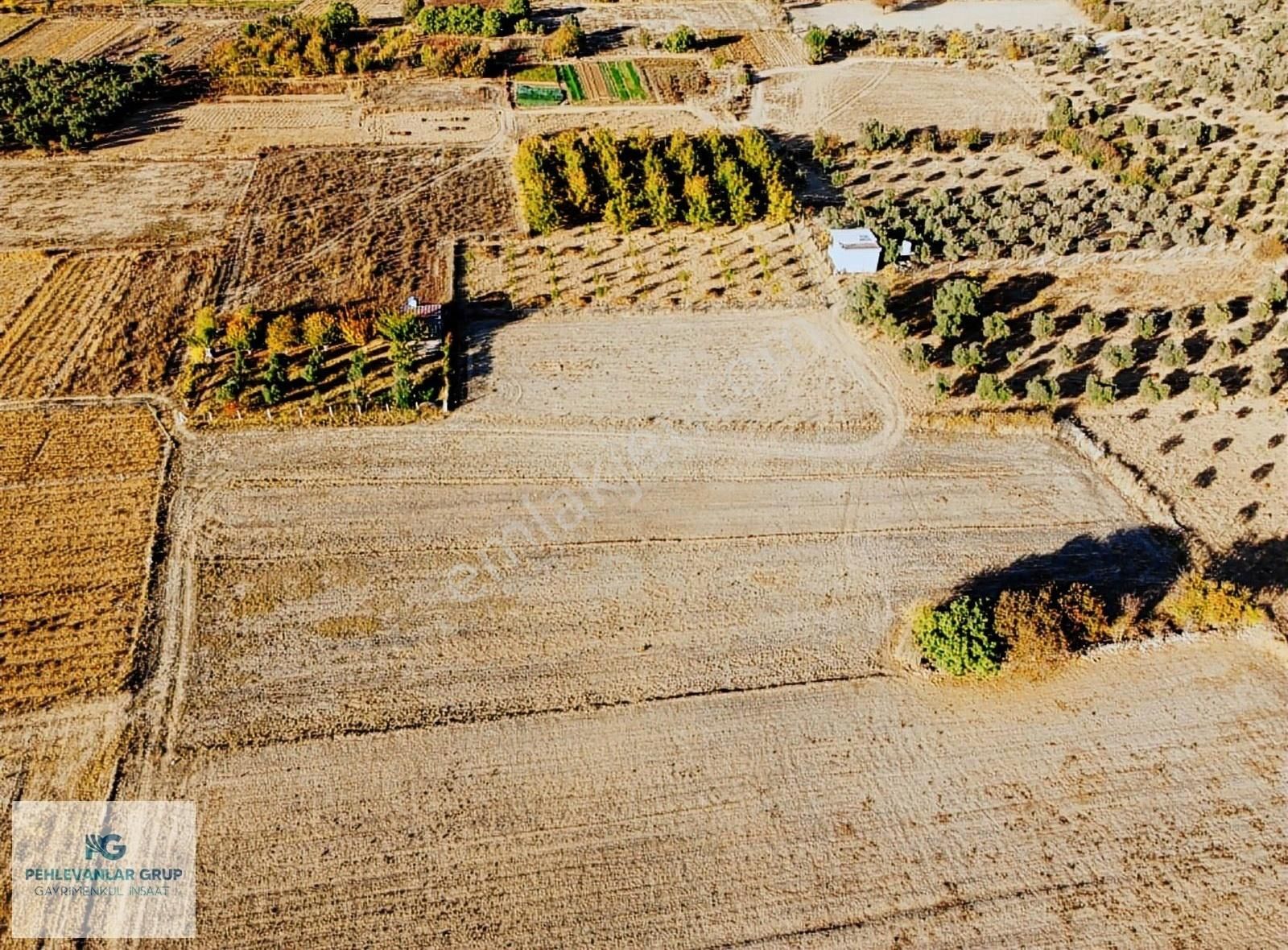 Kısa Süreliğine Tuzabat Köyünde Doğa İle İçiçe 1309m2 Tarla - Görsel 15