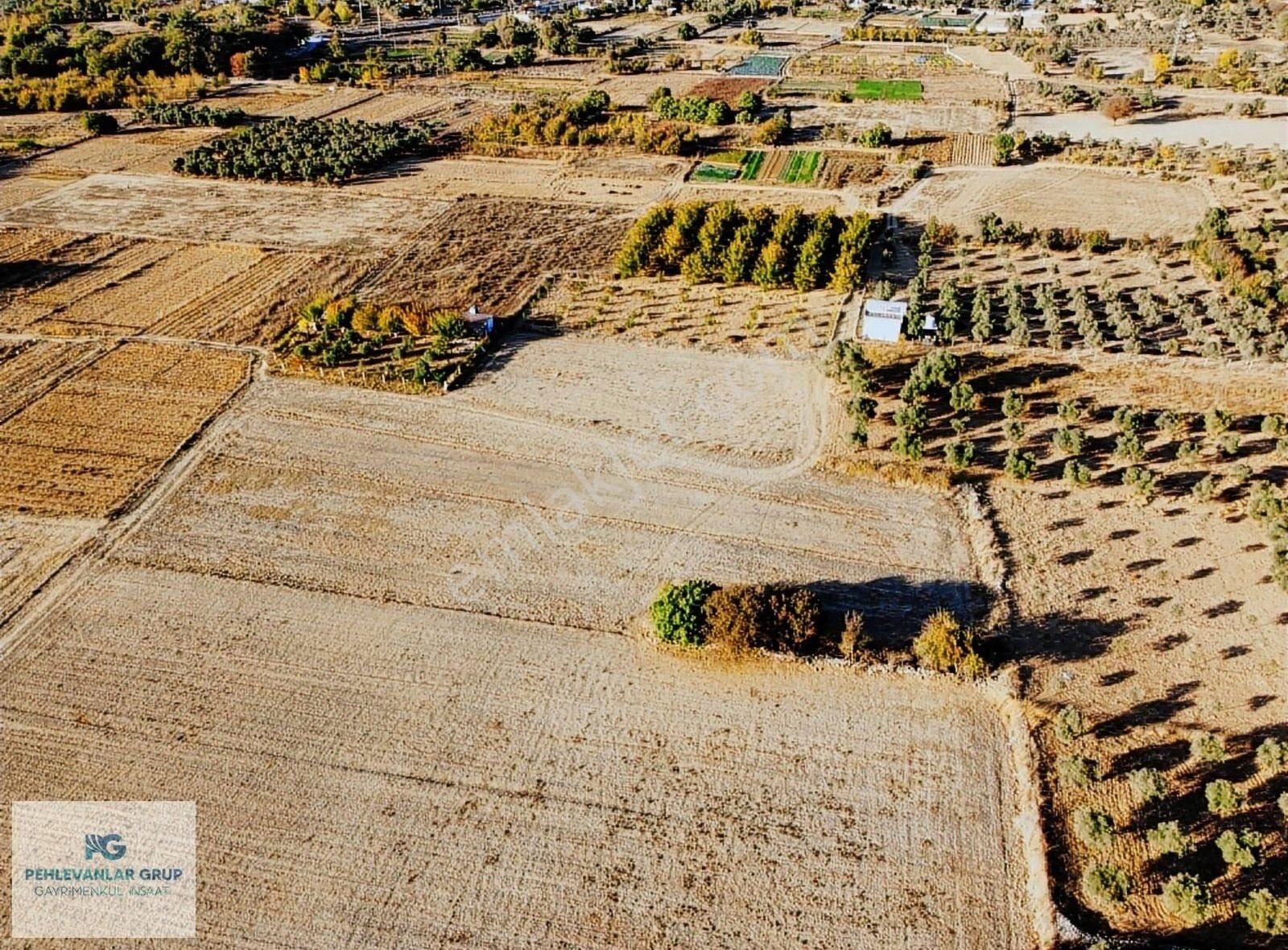 Kısa Süreliğine Tuzabat Köyünde Doğa İle İçiçe 1309m2 Tarla - Görsel 2