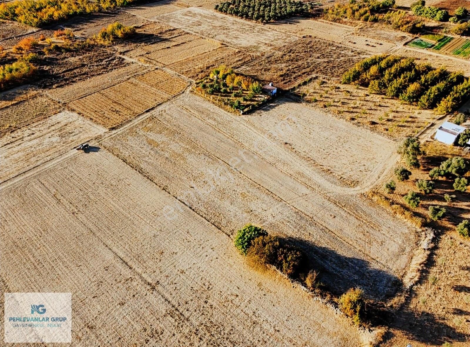 Kısa Süreliğine Tuzabat Köyünde Doğa İle İçiçe 1309m2 Tarla - Görsel 10