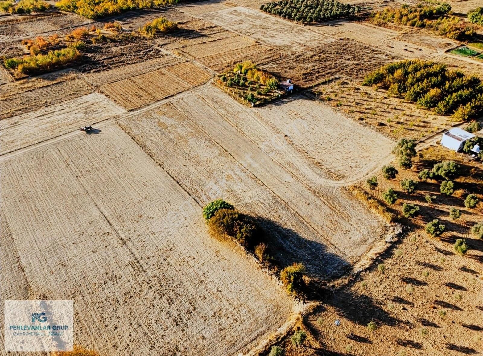 Kısa Süreliğine Tuzabat Köyünde Doğa İle İçiçe 1309m2 Tarla - Görsel 18