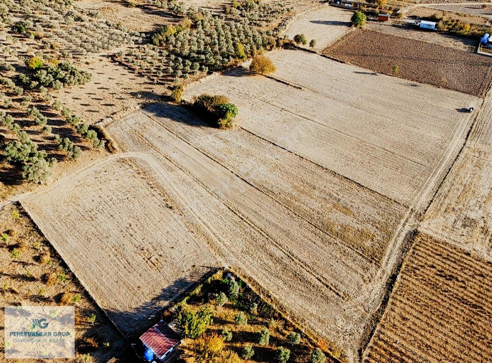Kısa Süreliğine Tuzabat Köyünde Doğa İle İçiçe 1309m2 Tarla - Görsel 6