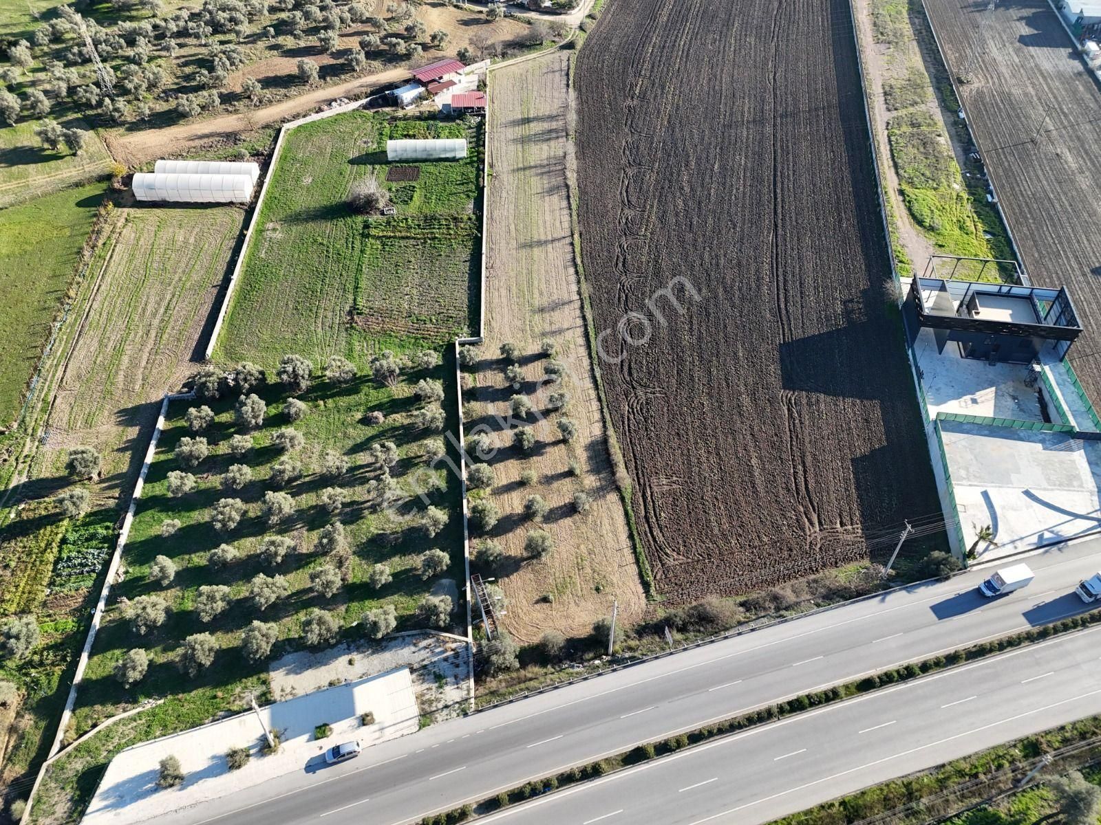 Milas - Bodrum Ana Yola Sıfır Ticari İmar Planında Satılık Arazi - Görsel 2